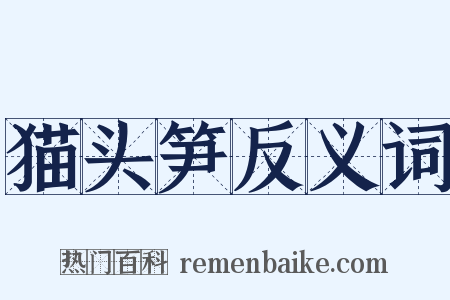 猫头笋反义词是什么意思的图片